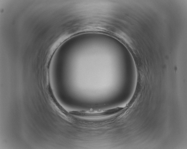 X0000072501371200607141119