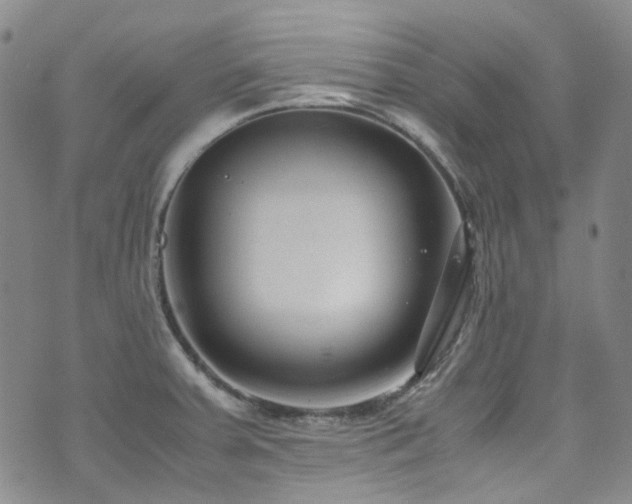 X0000072501379200607141119