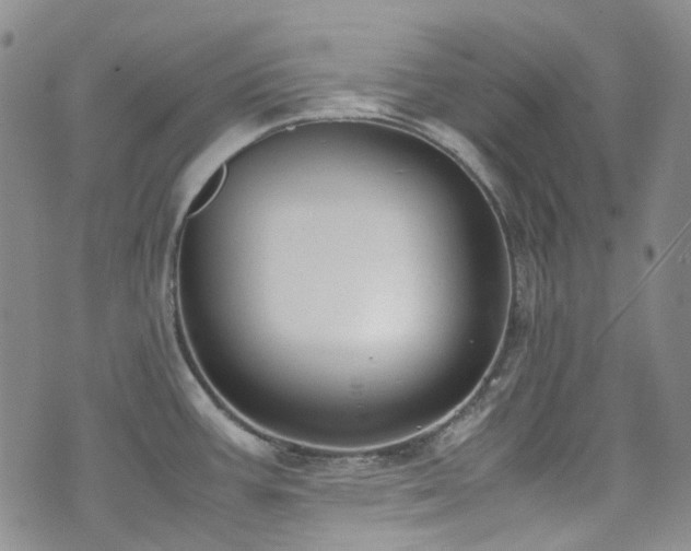 X0000072501387200607141119