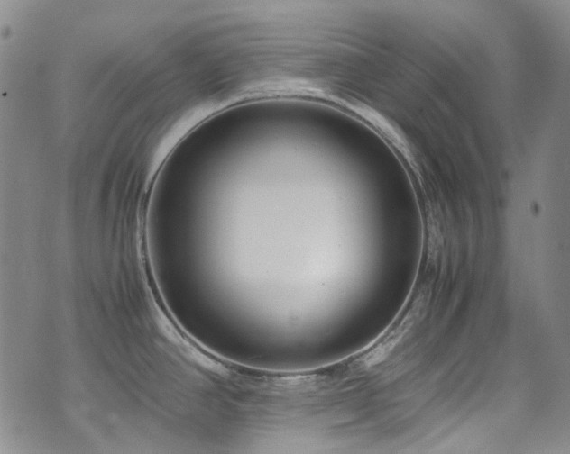 X0000072501390200607141118