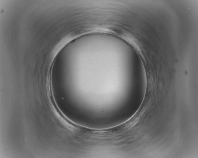 X0000072501391200607141118