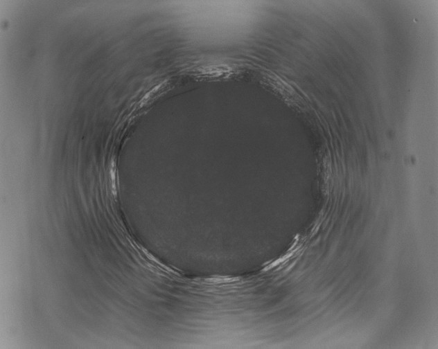 X0000072501394200607141118