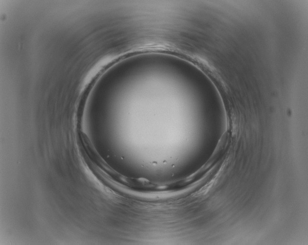 X0000072501422200607141118