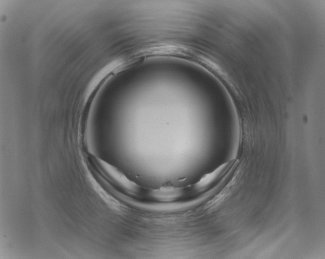 X0000072501426200607141118