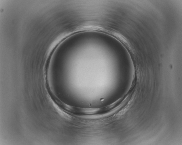 X0000072501430200607141118