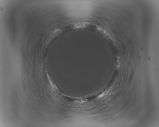 X0000072501441200607141118