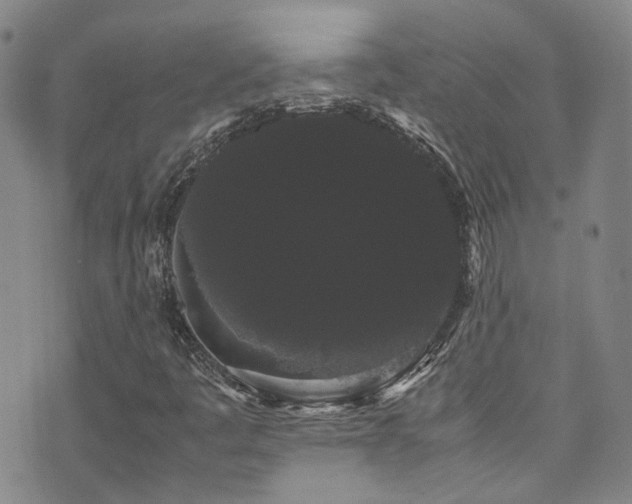 X0000072501445200607141118