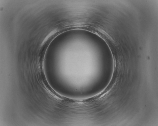 X0000072501450200607141118