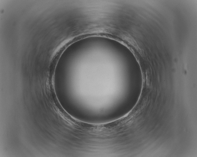 X0000072501452200607141117