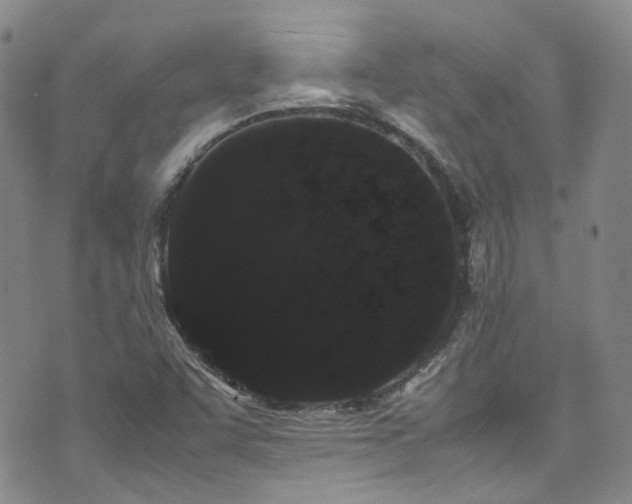 X0000072501455200607141117