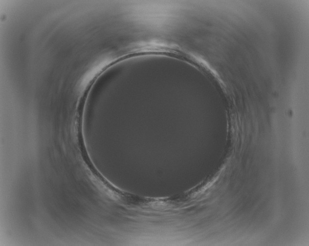 X0000072501463200607141117