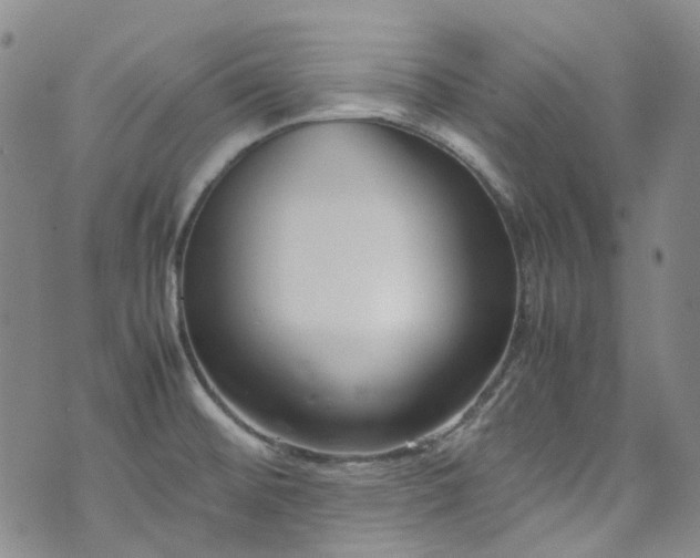 X0000072501476200607141117