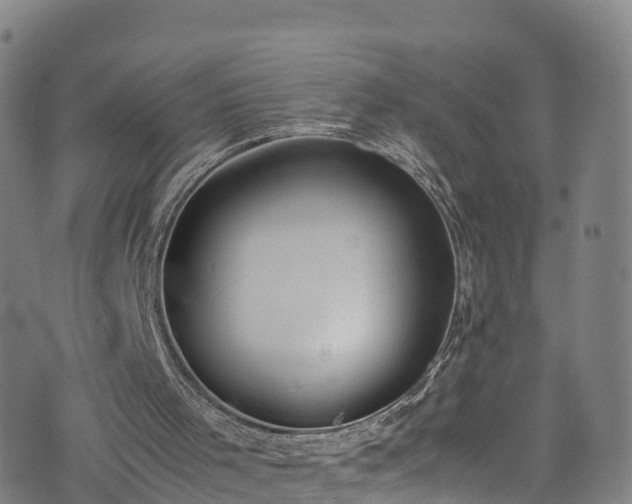 X0000072500001200607211301