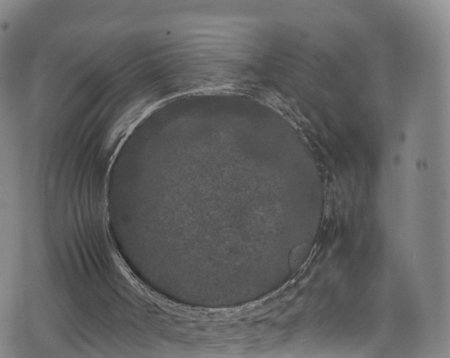 X0000072500002200607211301