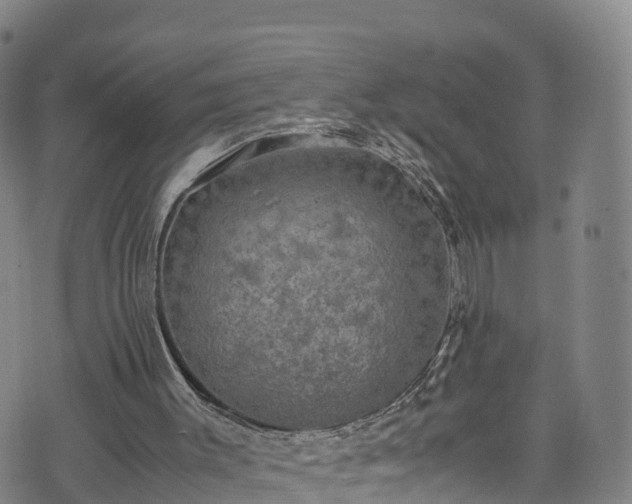 X0000072500003200607211301