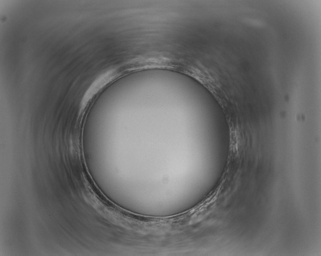 X0000072500004200607211301