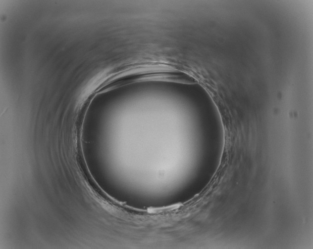 X0000072500005200607211301