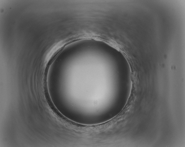 X0000072500007200607211301