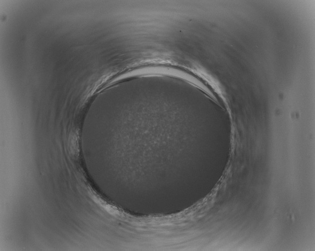 X0000072500009200607211301