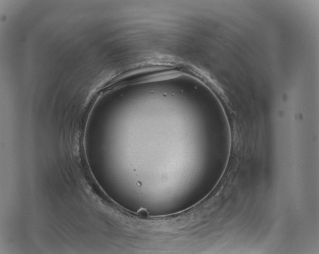 X0000072500010200607211301