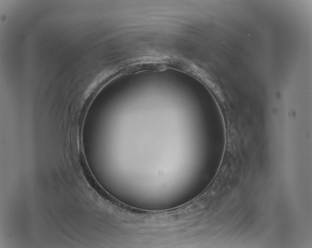 X0000072500011200607211301