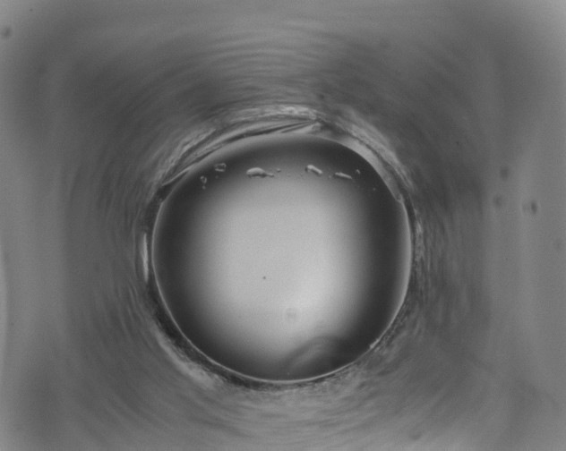 X0000072500013200607211301