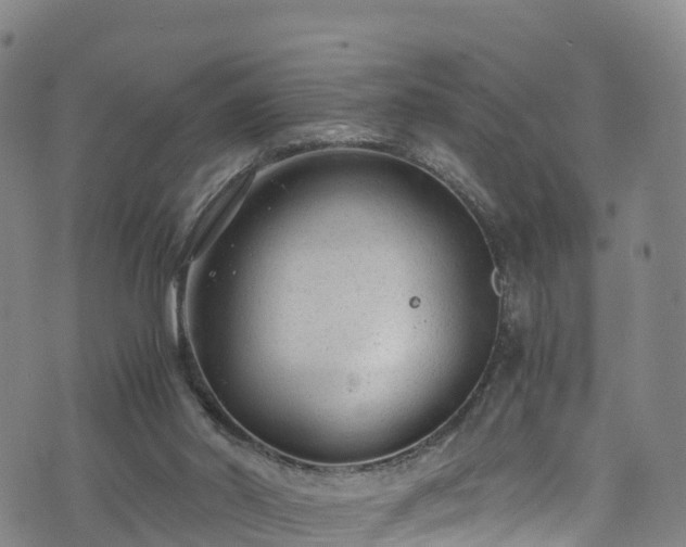 X0000072500014200607211301