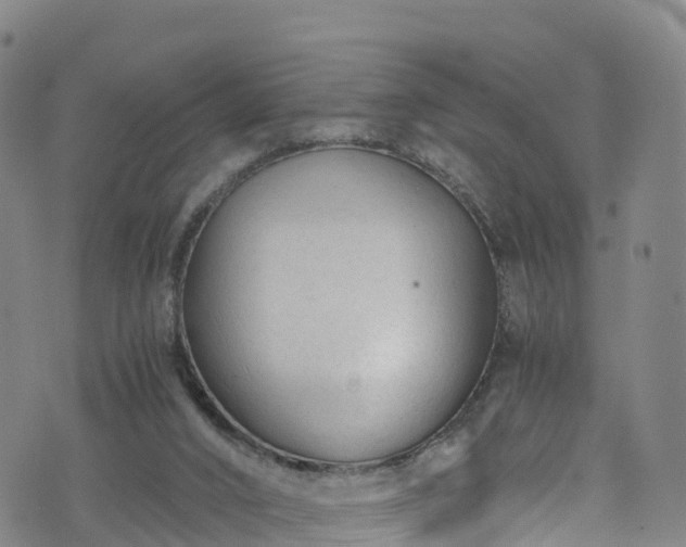 X0000072500016200607211301