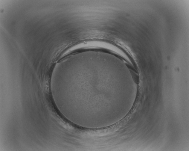 X0000072500017200607211301