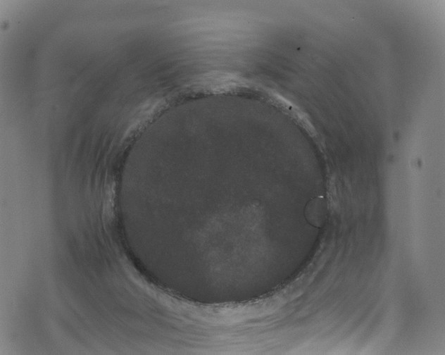 X0000072500018200607211301