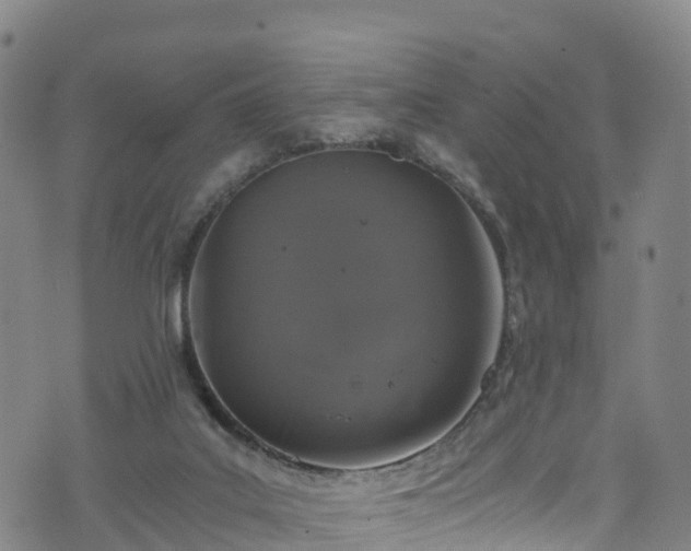 X0000072500019200607211301