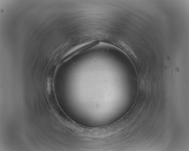 X0000072500026200607211301