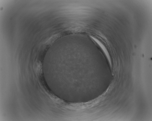 X0000072500029200607211301