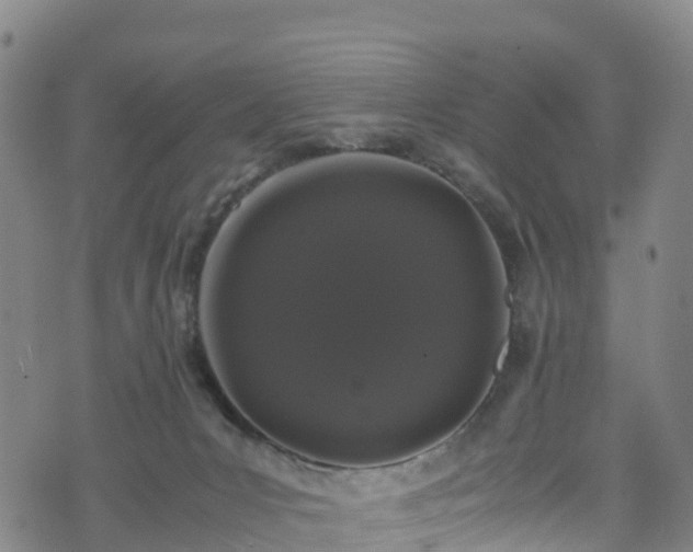 X0000072500031200607211301