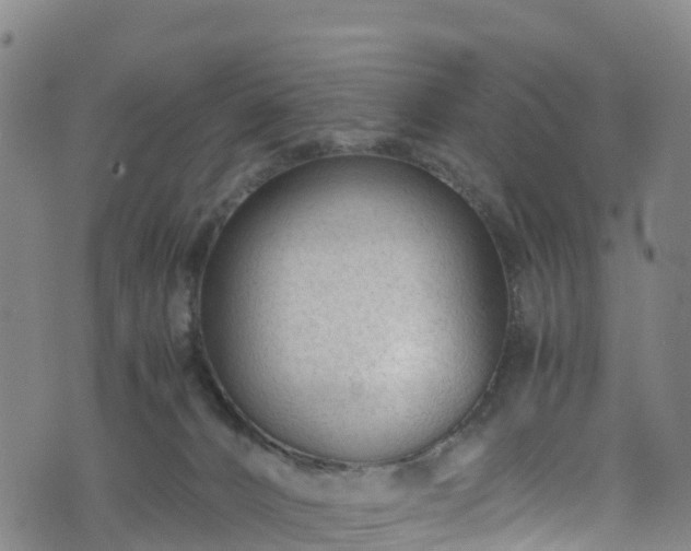 X0000072500032200607211301