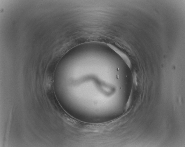 X0000072500033200607211301