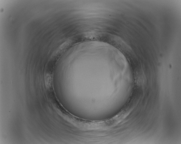 X0000072500036200607211301