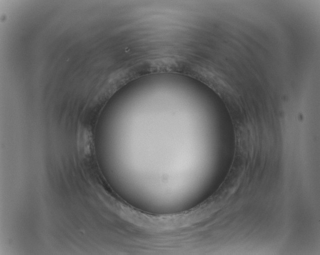 X0000072500038200607211300