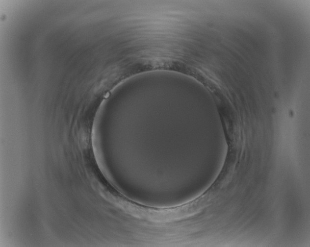 X0000072500039200607211300