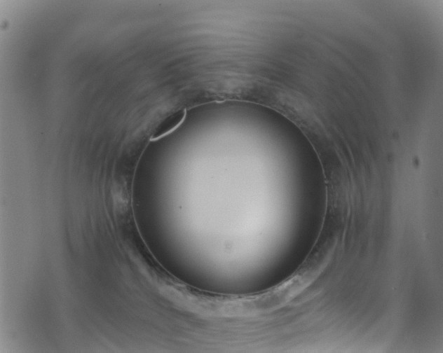 X0000072500040200607211300