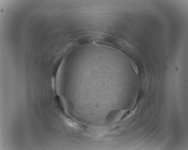 X0000072500041200607211300