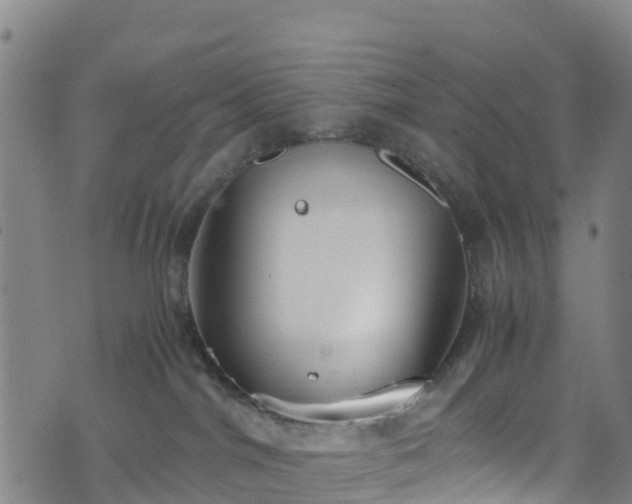 X0000072500044200607211300