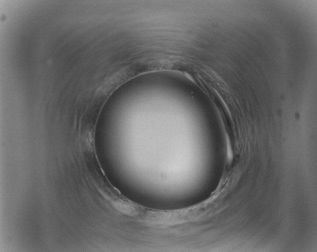 X0000072500045200607211300