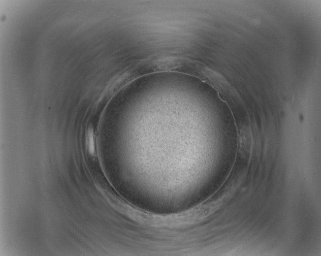 X0000072500046200607211300