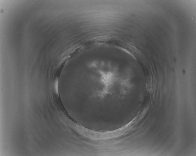 X0000072500047200607211300