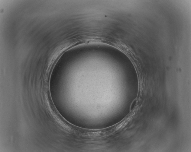 X0000072500049200607211300