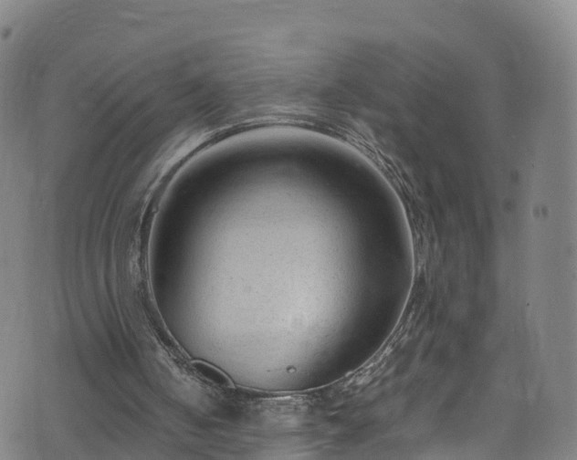 X0000072500050200607211300