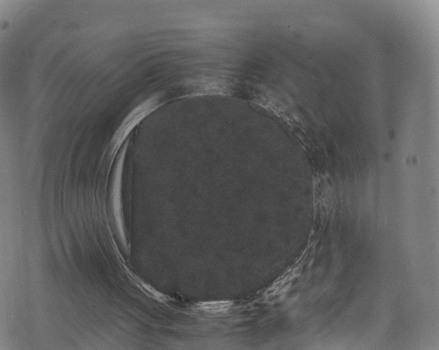 X0000072500051200607211300