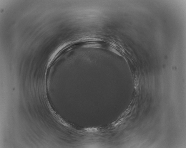 X0000072500052200607211300