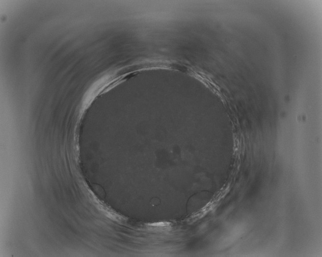 X0000072500053200607211300